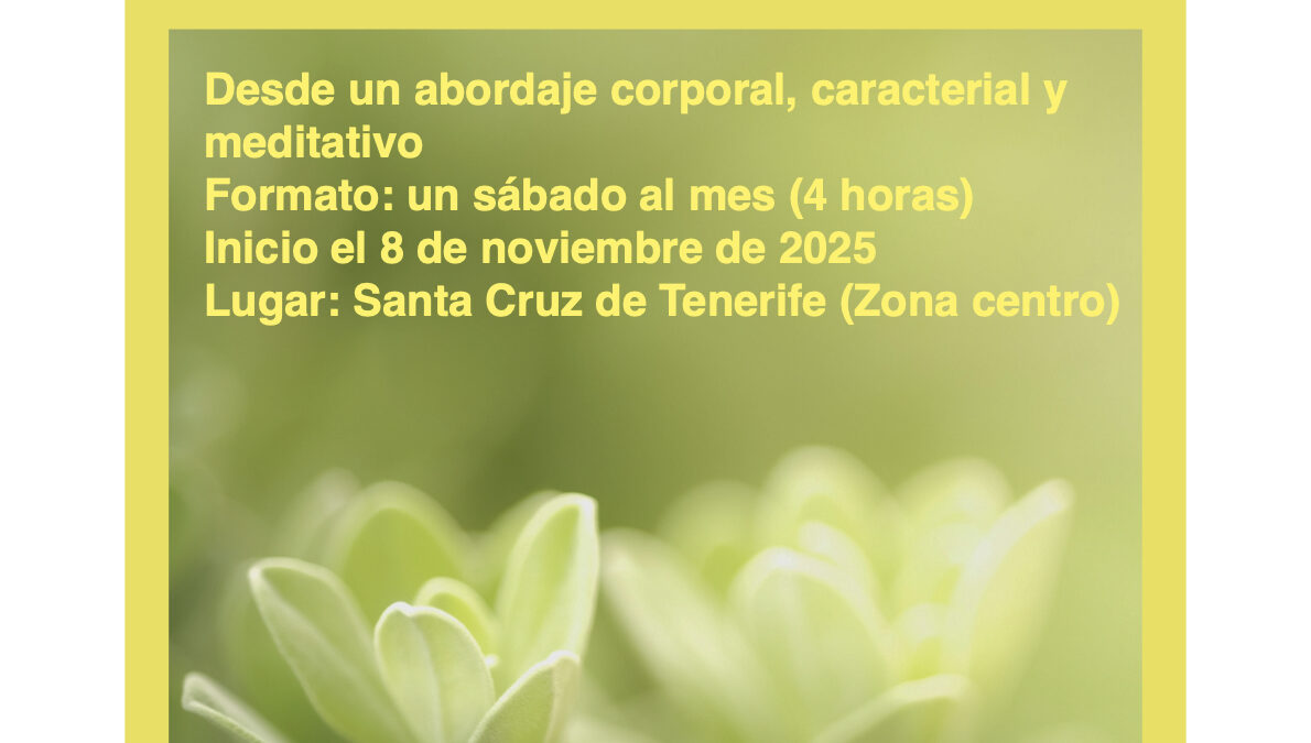 Actividades Terapéuticos, Grupo de Autoconocimiento